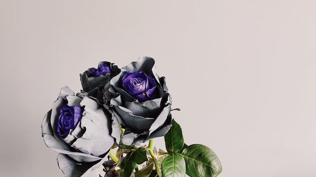 オリジナリティがあるバラ